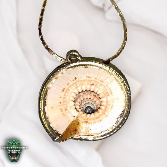 VINTAGE Power Nautilus Seashell & Gold Tone Metal Chain Pendant Mermaid Necklace - Picture 4 of 10